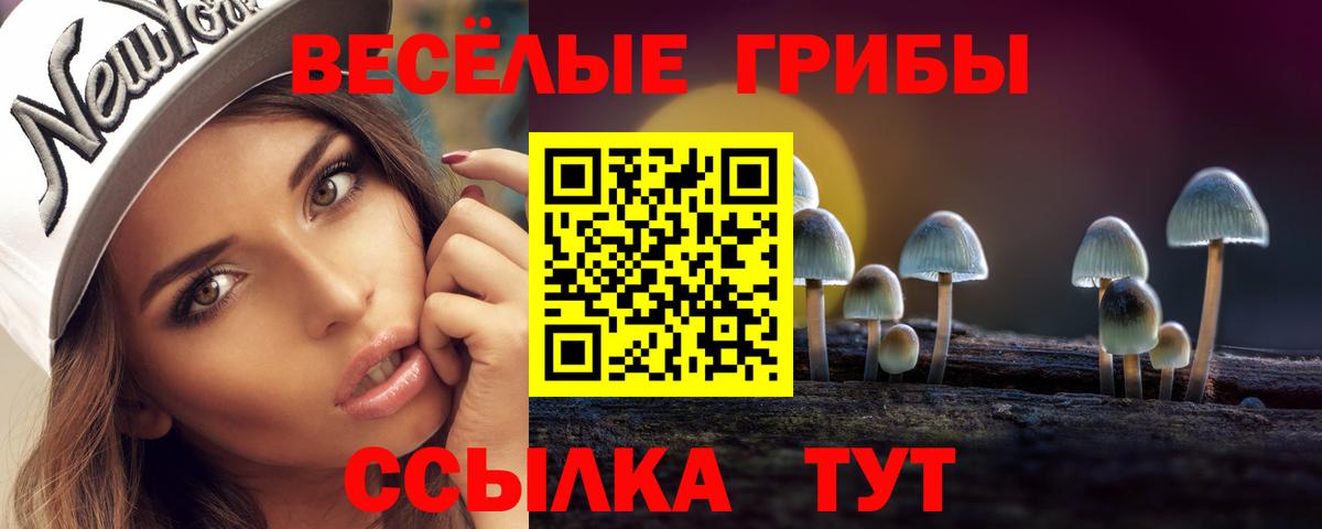 Галлюциногенные грибы Cubensis  Вход с VPN  Йошкар-Ола 